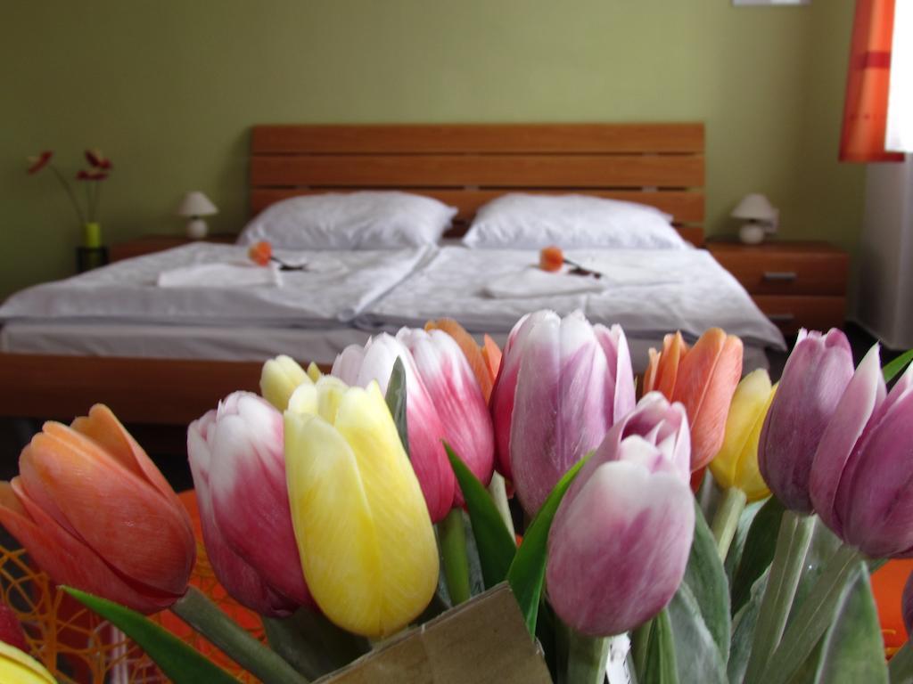 Penzion Oregano Třeboň Chambre photo