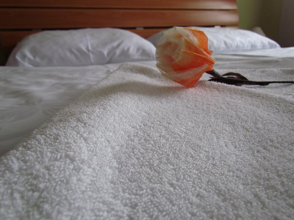 Penzion Oregano Třeboň Chambre photo